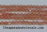 CTG609 15.5 inches 2mm faceted round golden sunstone beads