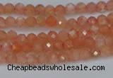 CTG610 15.5 inches 3mm faceted round golden sunstone beads