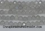 CTG613 15.5 inches 3mm faceted round labradorite beads