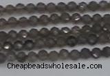 CTG639 15.5 inches 2mm faceted round smoky black obsidian beads