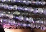 CTG750 15.5 inches 2mm faceted round tiny iolite beads wholesale