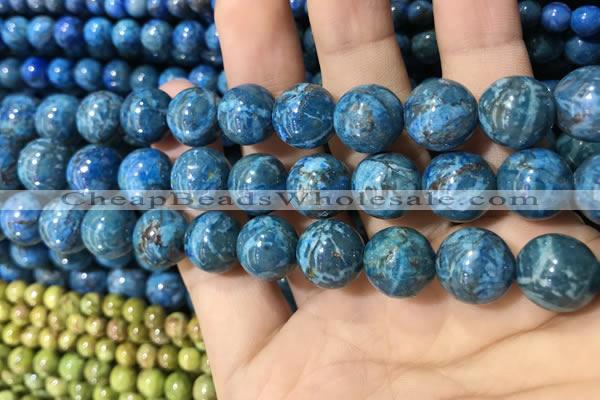 CTU3024 15.5 inches 12mm round South African turquoise beads