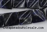 CTW355 15.5 inches 16*16mm twisted square sodalite gemstone beads