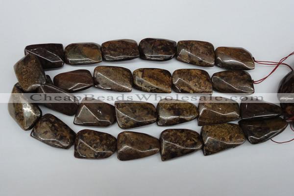 CTW410 15.5 inches 22*30mm twisted bronzite gemstone beads