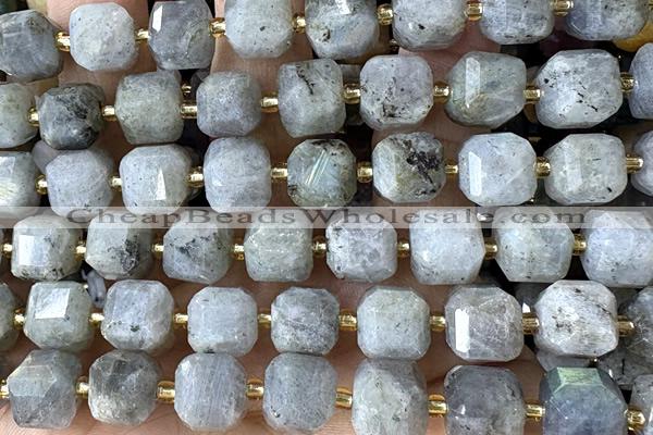 CUBE225 15 inches 10mm faceted cube labradorite beads wholesale