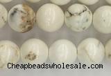 CWB801 15.5 inches 6mm round white howlite turquoise beads