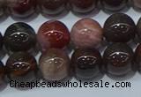 CWJ503 15.5 inches 10mm round Xinjiang wood jasper beads wholesale