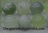 CXJ204 15.5 inches 12mm round New jade beads wholesale