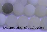 CXJ303 15.5 inches 10mm round matte New jade beads wholesale