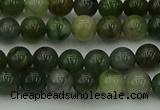 CXJ401 15.5 inches 6mm round Xinjiang jade beads wholesale