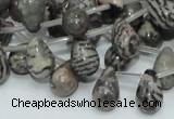 CZJ16 16 inches 8*12mm teardrop zebra jasper gemstone beads wholesale