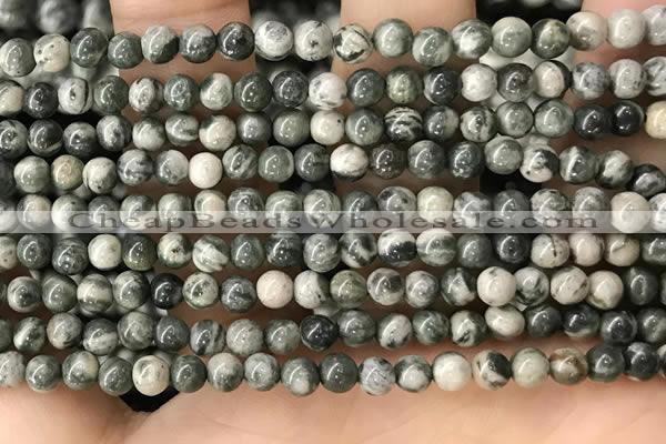 CZJ410 15.5 inches 4mm round green zebra jasper beads wholesale