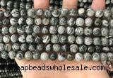 CZJ411 15.5 inches 6mm round green zebra jasper beads wholesale