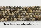 CZJ422 15.5 inches 8mm round Australian zebra jasper beads wholesale