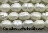 FWP157 14.5 inches 3mm - 4mm rice white freshwater pearl strands