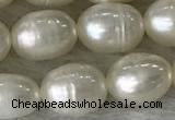 FWP185 15 inches 6mm - 7mm rice white freshwater pearl strands