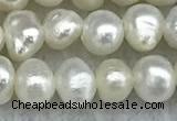 FWP30 14.5 inches 4.5mm potato white freshwater pearl strands