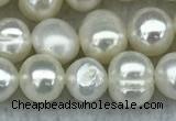 FWP35 14.5 inches 5mm - 6mm potato white freshwater pearl strands