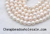 FWP482 14 inches 7mm - 8mm potato white freshwater pearl strands