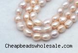 FWP502 14 inches 10mm - 11mm baroque lavender freshwater pearl strands