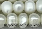 FWP65 15 inches 7mm - 8mm potato white freshwater pearl strands