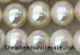 FWP81 15 inches 7mm - 8mm potato white freshwater pearl strands