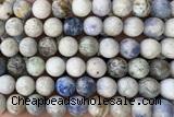 JASP42 15 inches 10mm round hackmanite jasper beads