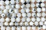 MIXE102 15 inches 10mm faceted white moonstone gemstone beads