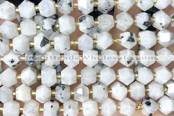 MIXE102 15 inches 10mm faceted white moonstone gemstone beads