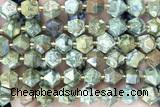 MIXE112 15 inches 10mm faceted rhyolite gemstone beads