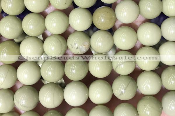 MIX51 15 inches 10mm round matcha alashan gemstone beads