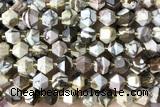 MIXE72 15 inches 10mm faceted Australian zebra jasper beads