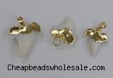 NGP2320 18*25mm - 25*30mm teeth-shaped shell pendants