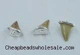 NGP2496 15*18mm - 18*20mm shark teeth pendants wholesale