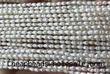 PEAR03 14 inches 2.5mm – 3mm white freshwater pearl beads