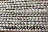 PEAR05 14 inches 3mm – 4mm white freshwater pearl beads